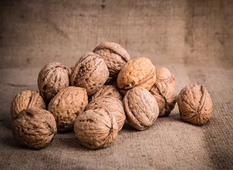 گردو قوچان؛ کاغذی خوشه ای سوزنی 2 رنگ زرد سفید پروتئین fiber