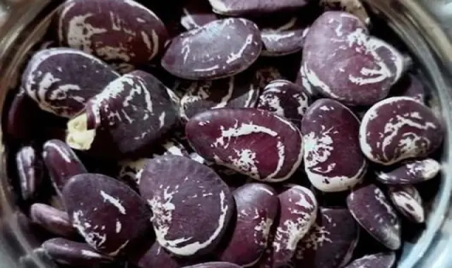 لوبیا عروس کپسولی + قیمت خرید، کاربرد، مصارف و خواص