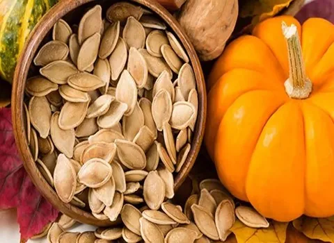 قیمت تخمه کدو ریز