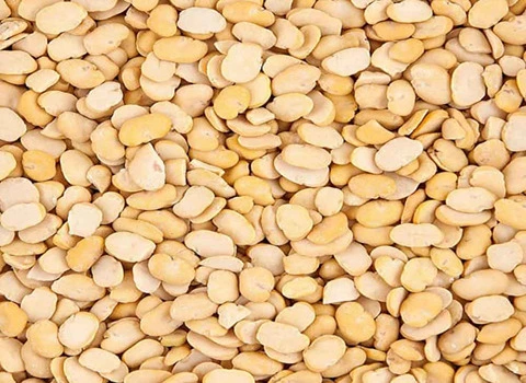 خرید و قیمت لپه باقالی پلو فله