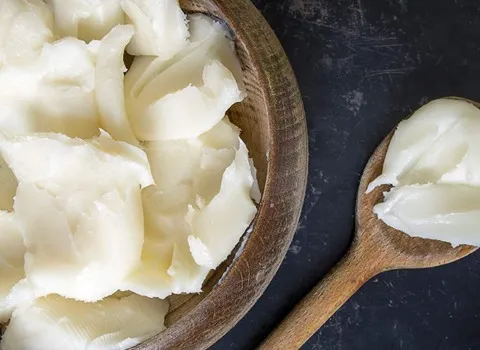 قیمت روغن دنبه بدون بو