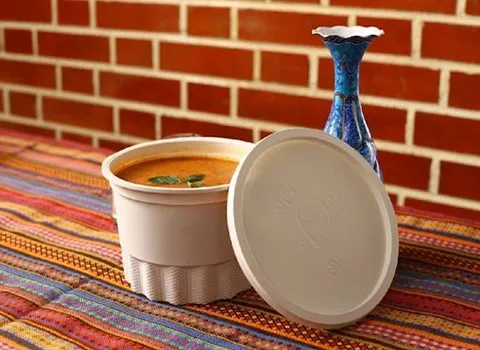 ظروف یکبار مصرف خورشتی؛ گیاهی پلاستیکی (پلی پروپلین پلیمر) درب دار