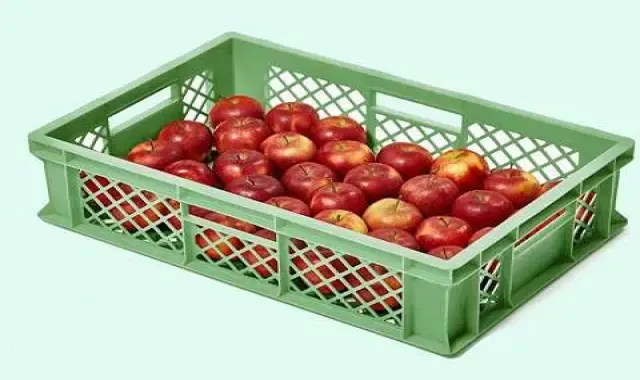 سبد میوه مشهد؛ پایه دار حمل آسان 3 رنگ آبی سبز سفید propylene