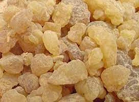 مشخصات آدامس سقز کوهی + قیمت خرید