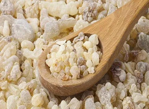 خرید جدیدترین انواع آدامس سقز کوهی