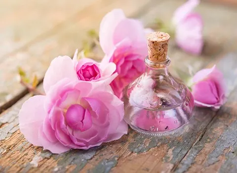 گلاب ناب کاشان؛ غنچه پودری تولید عطر روغن گیری تنظیم فشار خون Antibiotics