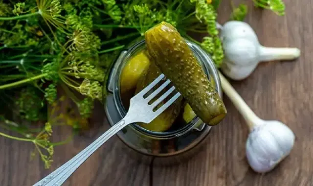 ترشی خیارشور یک روزه؛ ترد کم کالری 2 نوع فست فودی خانگی Pickle