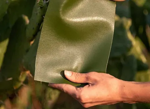 قیمت چرم گیاهی