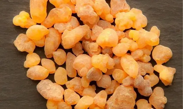 قیمت و خرید آدامس سقز طبیعی خارجی + فروش ارزان