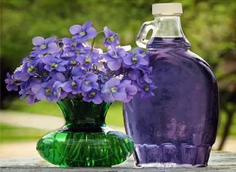 شربت گل بنفشه؛ آبی لاجوردی درمان التهابات گلو طبع سرد