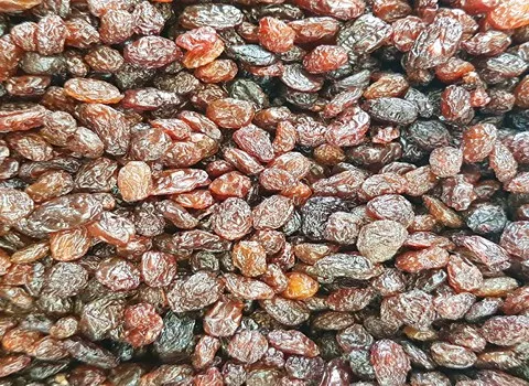 خرید و قیمت انواع کشمش آفتابی امروز