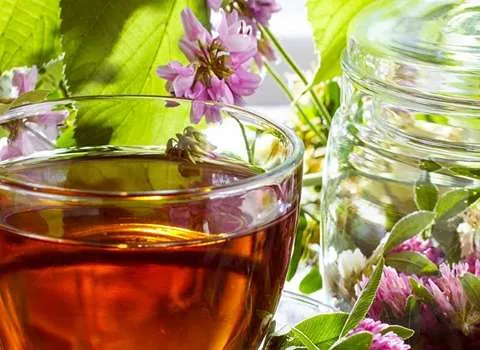 شربت عرق شاتره؛ درمان صفراوی کبدی حاوی آنتی اکسیدان shutter