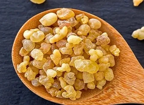 بهترین آدامس سقز کدام است؟ + مقایسه کامل | قیمت عالی