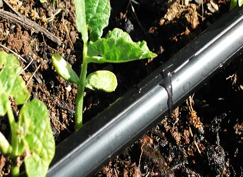 بهترین نوار تیپ پلاک دار + قیمت خرید عالی