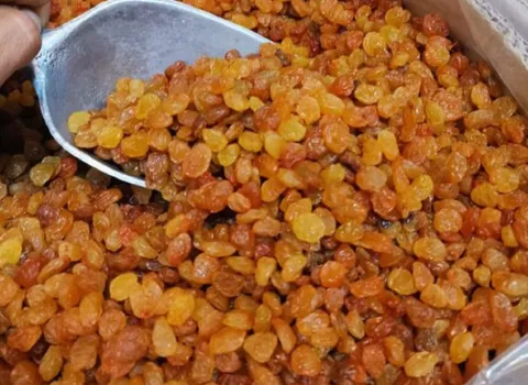 قیمت کشمش تیزابی ملکان + پخش تولیدی عمده کارخانه