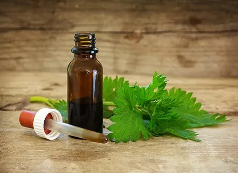شربت عرق گزنه؛ قند خون آرتروز آلرژی مناسب دمنوش Nettle