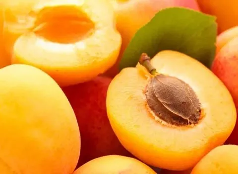 زردآلو به صورت عمده (قیسی) گرد بیضی دارای بافت نرم شیرین آبدار