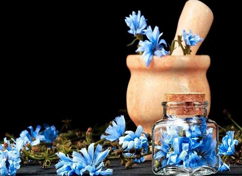 عرق کاسنی اعلا؛ ارزش دارویی بالا تقویت سیستم ایمنی (طبع سرد)