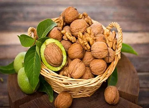 خرید عمده مغز گردو اعلا با بهترین شرایط