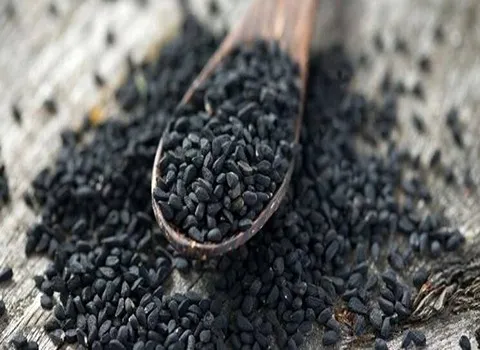 خرید سیاه دانه درجه ۱ + قیمت عالی با کیفیت تضمینی