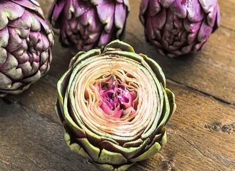 معرفی انواع آرتیشو خاردار  + قیمت خرید روز