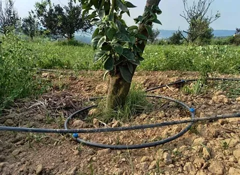 لوله دریپردار آبیاری قطره ای؛ کنترل آب مستحکم 3 رنگ مشکی بنفش قهوه ای