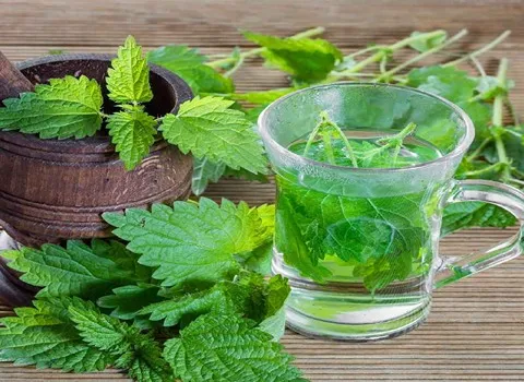 خرید گلاب دو آتیشه سنتی + قیمت عالی