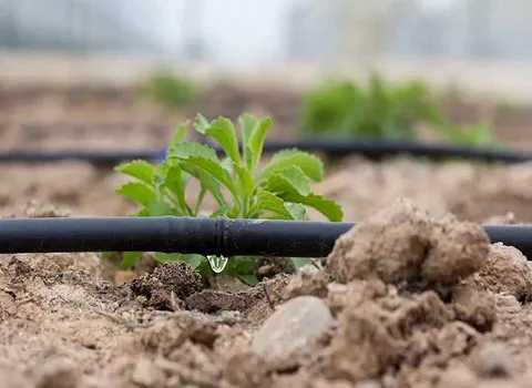 قیمت نوار آبیاری قطره ای پلاک دار + پخش تولیدی عمده کارخانه