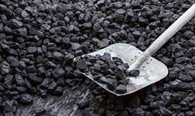 زغال چوب سیب؛ کبابی حاوی بوی خوشایند Apple wood