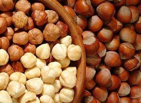 بهترین فندق بو داده نمکی + قیمت خرید عالی