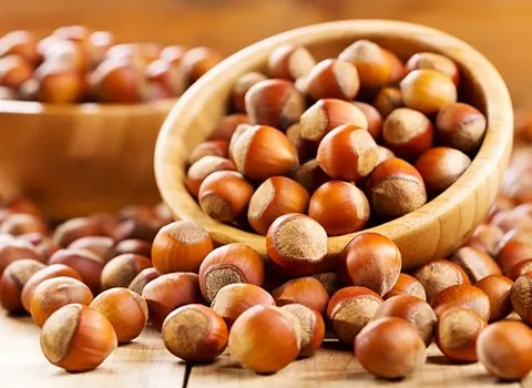 خرید کره فندق ارگانیک در بسته بندی