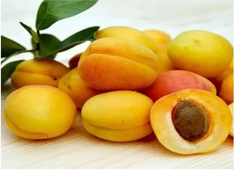 خرید و قیمت انواع زردآلو قیسی مرند