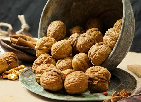 خرید پرفروش ترین انواع گردو تازه با بهترین قیمت