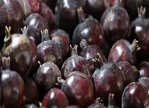 قیمت خرید انار دانه سیاه ساوه + عکس