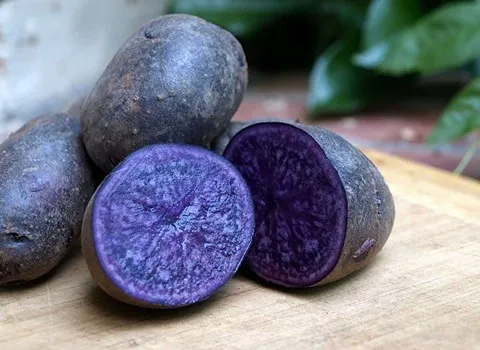 خرید و قیمت بذر سیب زمینی شیرین بنفش