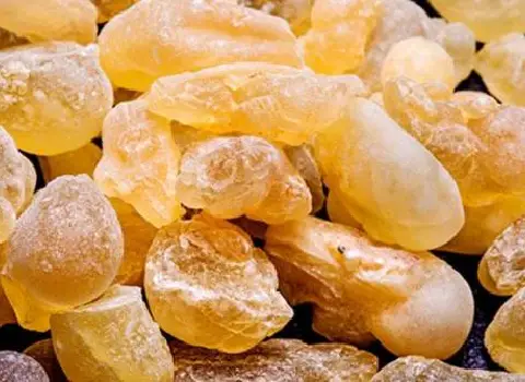 آشنایی با آدامس سقزی + قیمت استثنایی خرید آدامس سقزی