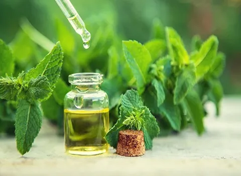 عرق نعنا در بازار؛ ماده خوراکی دارویی شفاف مختص درمان بیماریها