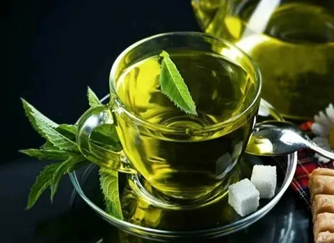 عرق نعنا | خرید مدل های متنوع عرق نعنا