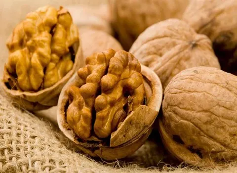 گردو پیوندی فرنور؛ درشت کاهش کلسترول حاوی ویتامین (E B6)