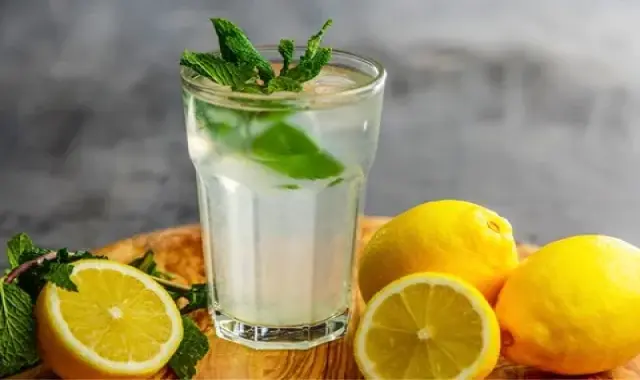 شربت عرق نعنا و بیدمشک | خرید با قیمت ارزان