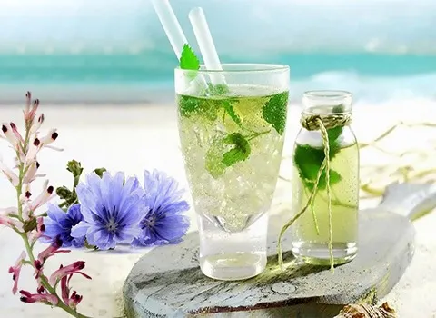 قیمت و خرید شربت عرق کاسنی و شاتره + فروش ارزان