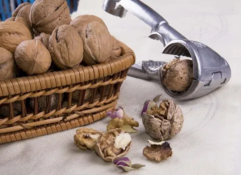 قیمت گردو تازه با پوست قهوه ای