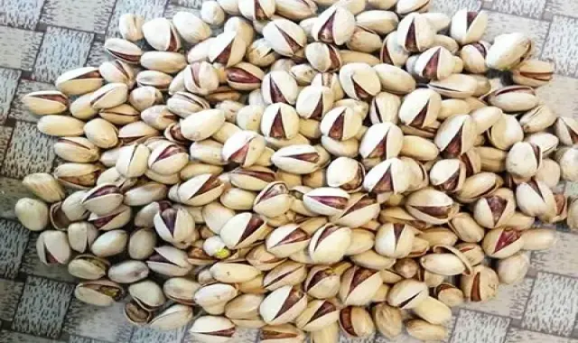 تعبیر خواب خوردن پسته + پسته در خواب