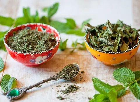 قیمت و خرید سبزی خشک معطر شمالی + فروش ارزان