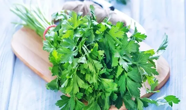 سبزی جعفری کوهی + قیمت خرید، کاربرد، مصارف و خواص