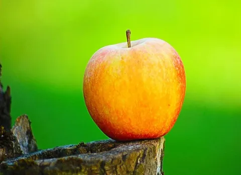 سیب آبگیری؛ قرمز زرد آبدار فیبر فروکتوز گلوکز (جعبه ای سبدی)