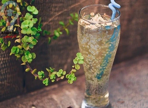 شربت گیاهی ضد سرفه خارجی (طبی سنتی) رفع خلط گلو حاوی Vitamin