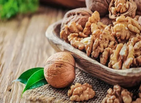 خرید و قیمت انواع گردو پوست سبز