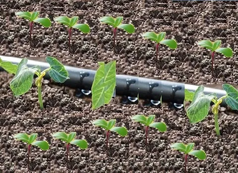 قیمت خرید نوار تیپ آبیاری + راهنمای استفاده