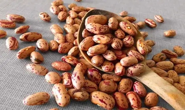 مشخصات لوبیا چیتی درشت و نحوه خرید عمده